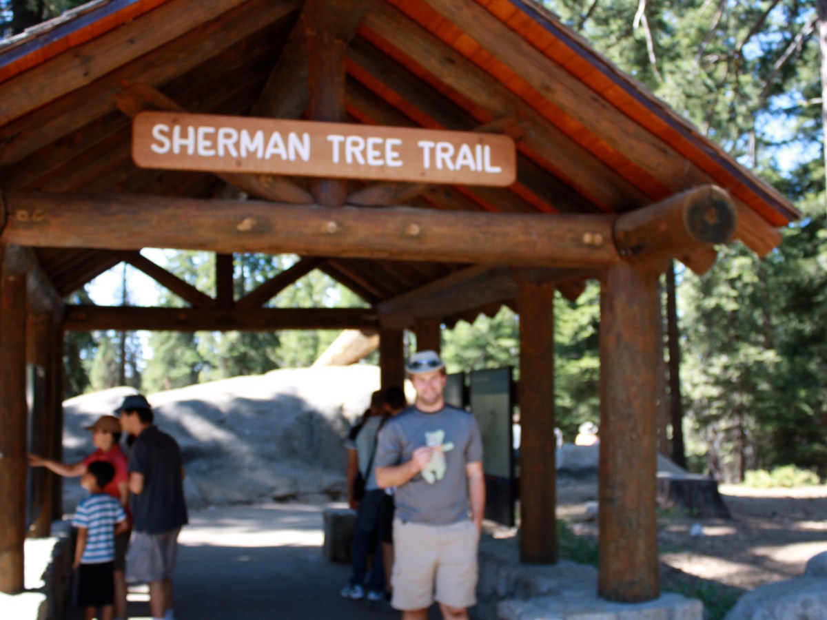 Sequoia National Park,&nbsp;California