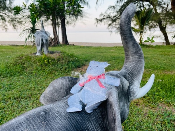 Tidy Teddy Takes&nbsp;Thailand